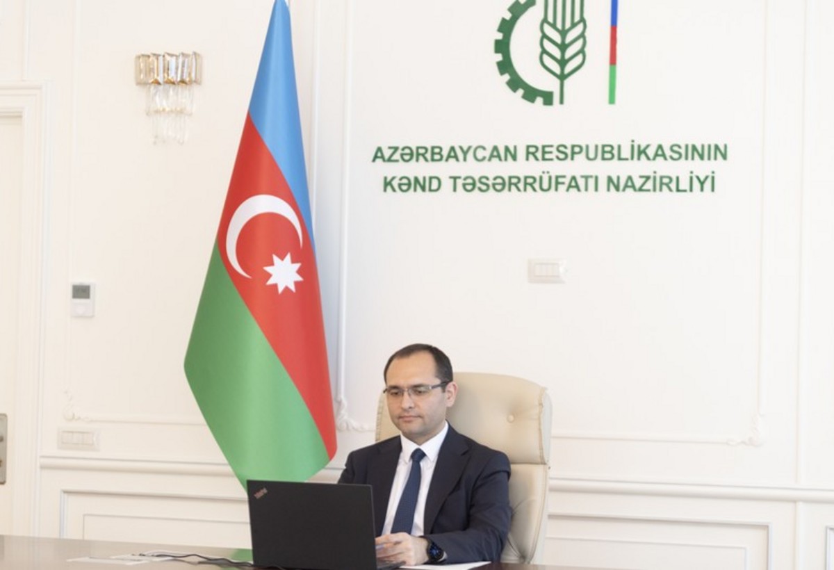 Rusiyanın aparıcı taxıl ixracatçıları Azərbaycana gələcək
