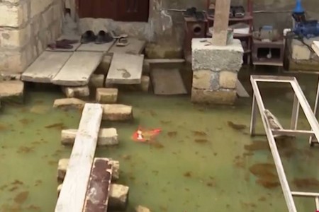 Çirkab sularla dolan Aşağı Güzdək gölü ətrafdakı yaşıllığı da məhv edir - VİDEO