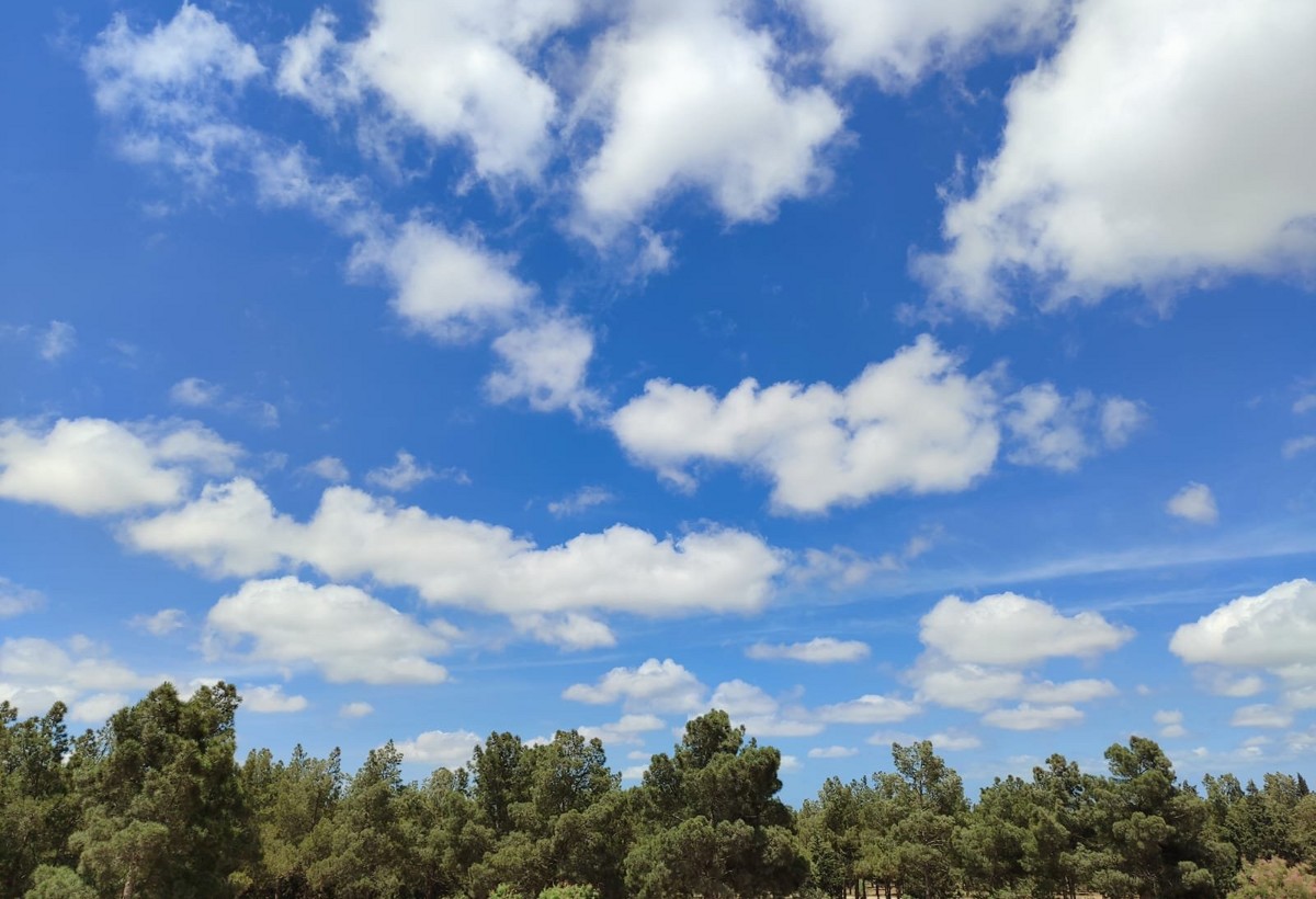 Sabahın hava PROQNOZU: Külək, yağış, duman