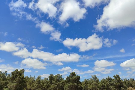 Sabahın hava PROQNOZU: Külək, yağış, duman