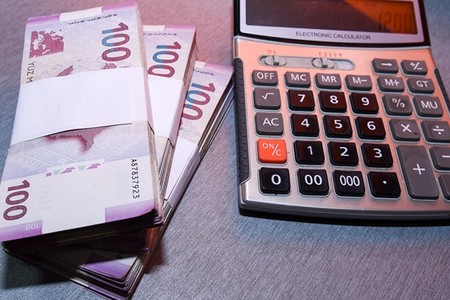 Naxçıvanda yeni meyvə bağları salanlar birdəfəlik ödəniş alacaq