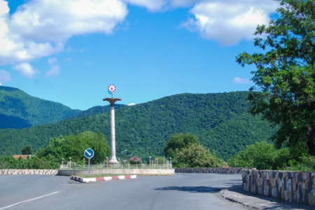 Zaqatalada yol istismar idarəsinin direktoru ağacları kəsdirib -  cinayət işi açıldı