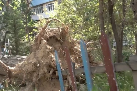 Bakıdakı güclü küləyin fəsadları sakinləri çətin vəziyyətə qoyub