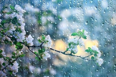Həftənin ilk gününə gözlənilən HAVA