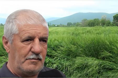 Hamımız ziyana işləyirik - Fermerlər taxılçılıqda çətinlikdən şikayətlənir