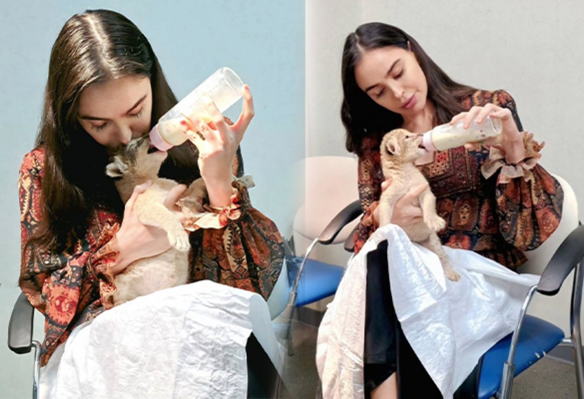 Leyla Əliyevanın şir balası ilə maraqlı GÖRÜNTÜLƏRİ