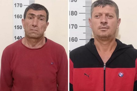 Yevlaxda çətənə əkən şəxslər saxlanıldılar