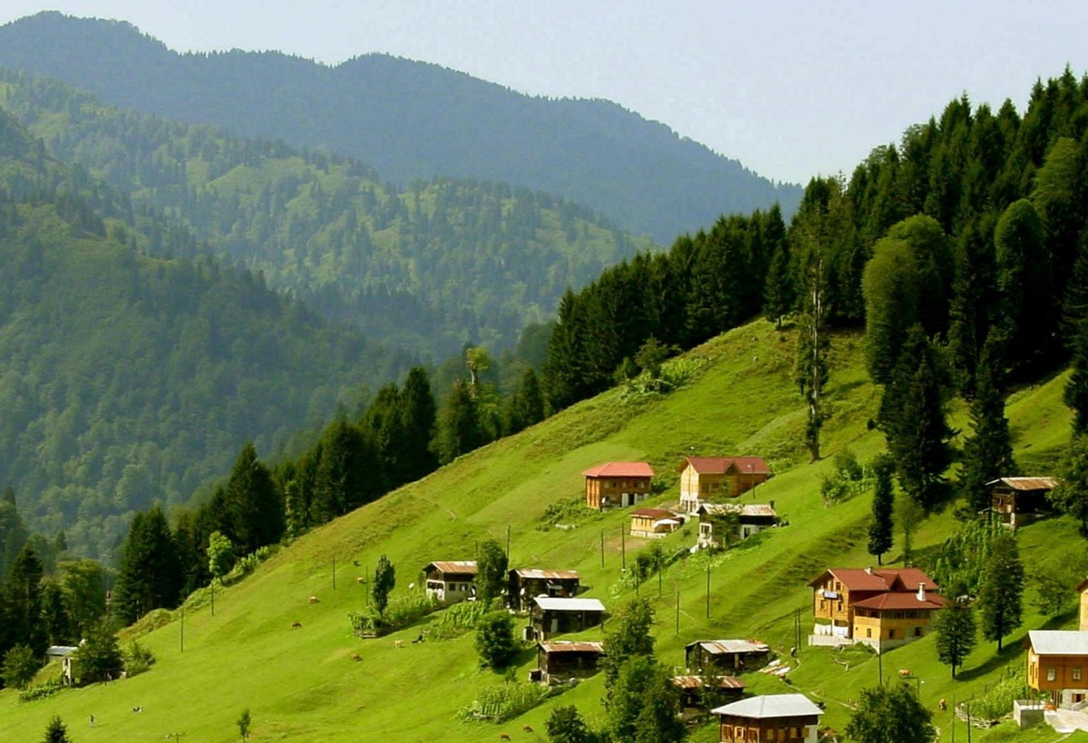Azərbaycanda sağlamlıq turizminin inkişafı ilə bağlı fəaliyyət planı hazırlanır