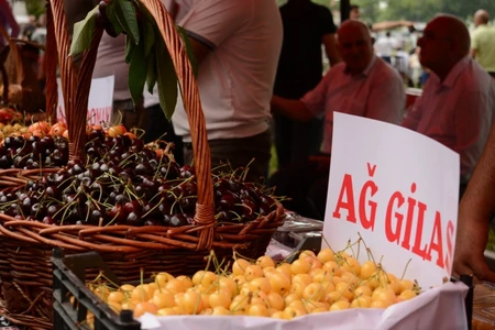 Bazarlarda gilasın qiymətləri əl yandırır