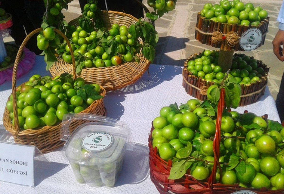 Naxçıvanda “Göycə” festivalı keçiriləcək