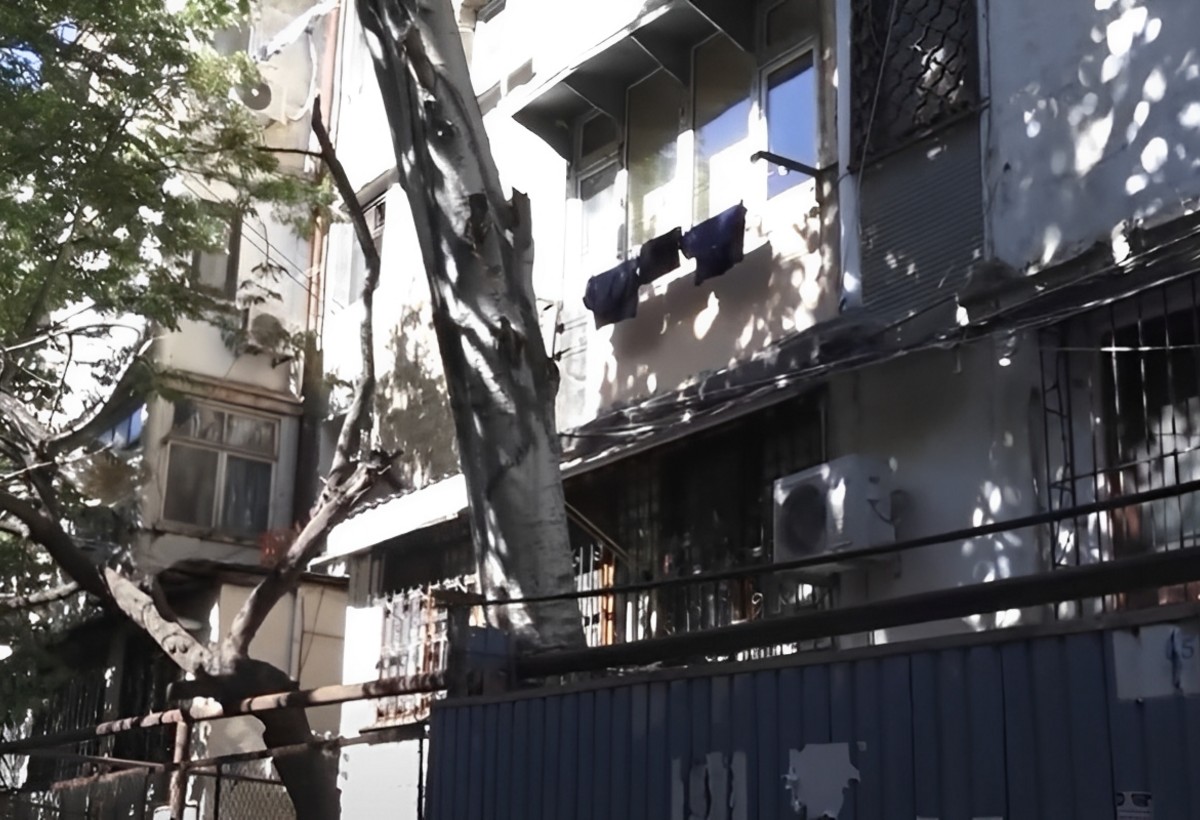 Bakıda qaz borusunun üzərinə əyilən ağac sakinləri təşvişə SALDI