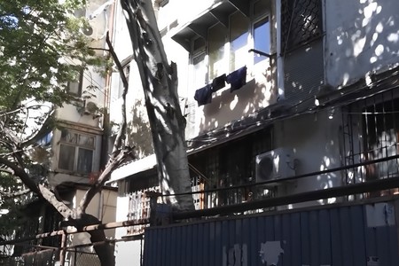 Bakıda qaz borusunun üzərinə əyilən ağac sakinləri təşvişə SALDI