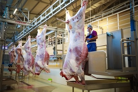 Qurbanlıq heyvanların satışı və kəsimi xidmətləri göstəriləcək ÜNVANLAR AÇIQLANDI