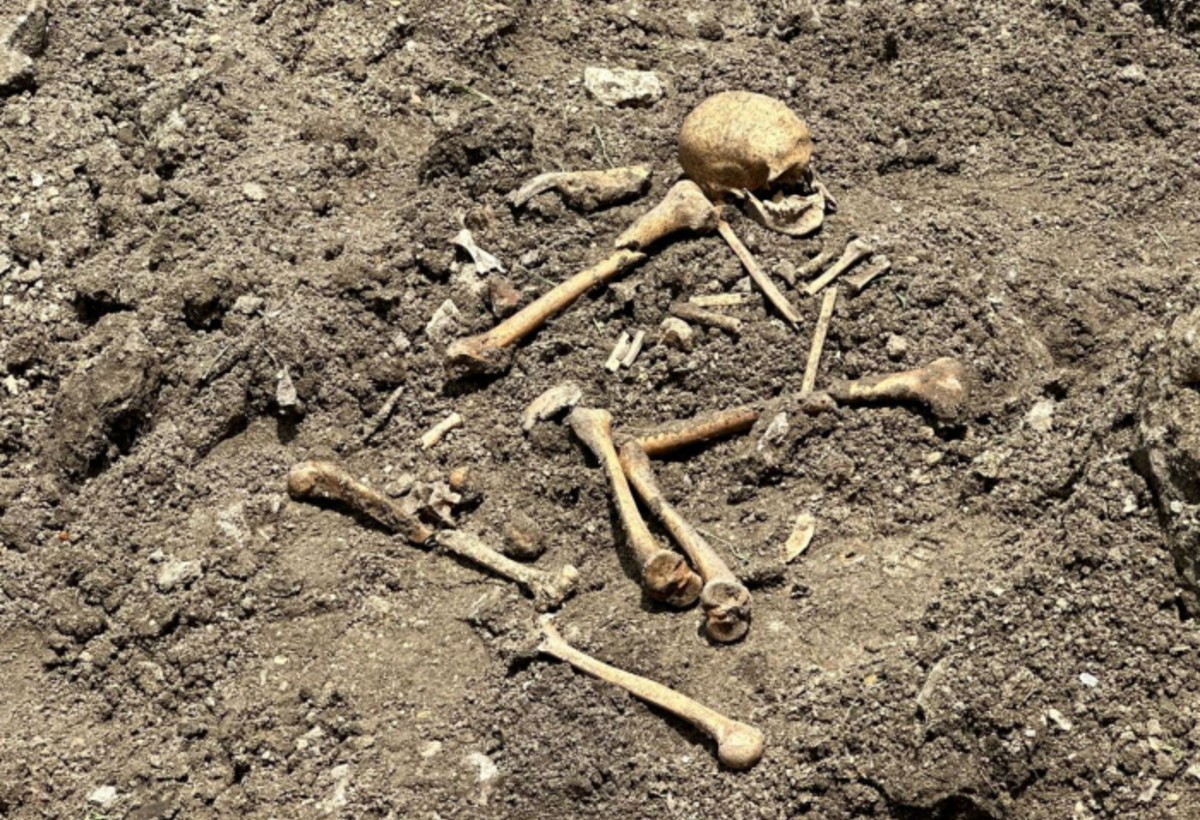 Ağdərədə skelet qalıqları aşkarlandı