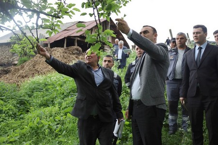 Daşkəsən və Göygöl rayonlarında aqrar inkişafa dəstək