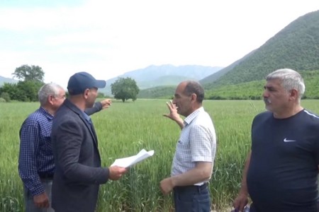 İsmayıllı sakinlərinin torpaqları əllərindən alınır - 15 gün möhlət verilib