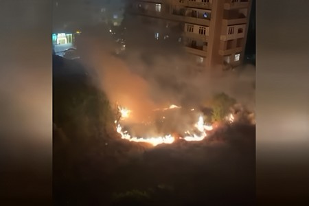 Bakıda MTK-nın bir qrup işçiləri ağacları və yaşıllıqları yandırır? - İDDİA