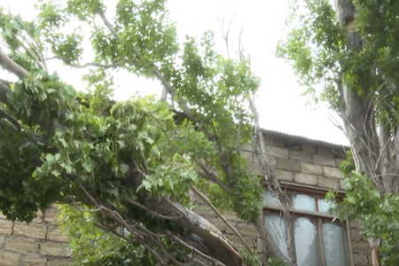 Binəqədi sakinləri illərlə təhlükə altındadır: Ağac aşanda xəsarət aldım