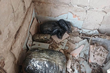 Salyanda əməliyyat: külli miqdarda narkotik aşkarlandı - FOTO