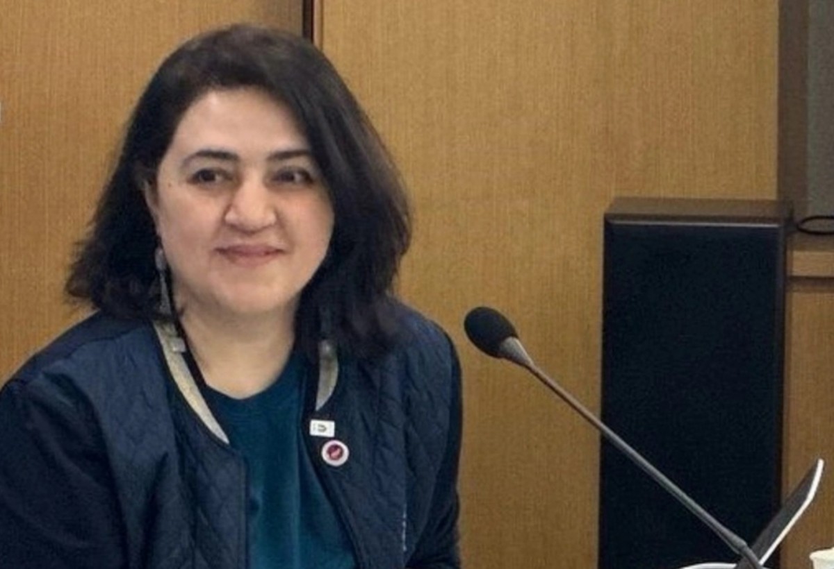 Yüksək Təhsil İnstitutuna direktor təyin edildi