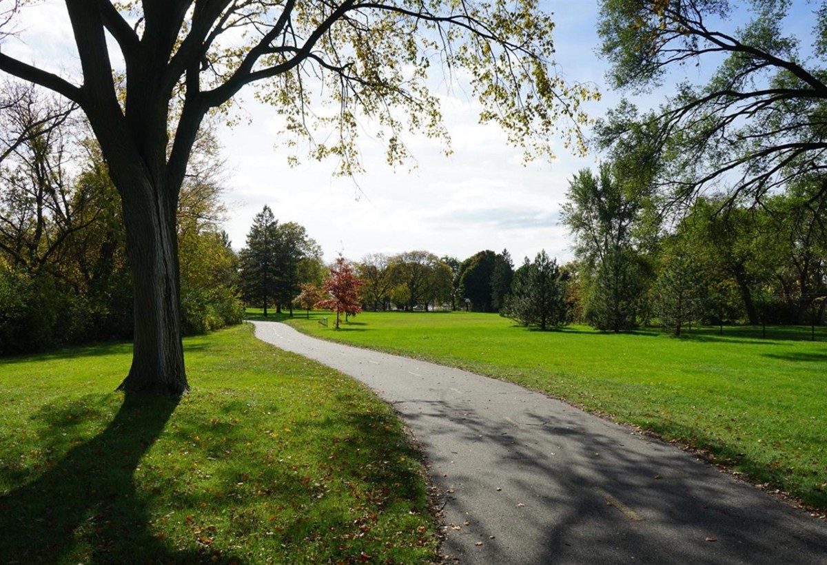Bakıda yeni park salınacaq