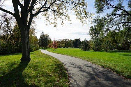 Bakıda yeni park salınacaq
