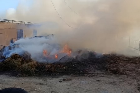 Salyanda ferma yandı: 30-dan çox mal-qara tələf oldu