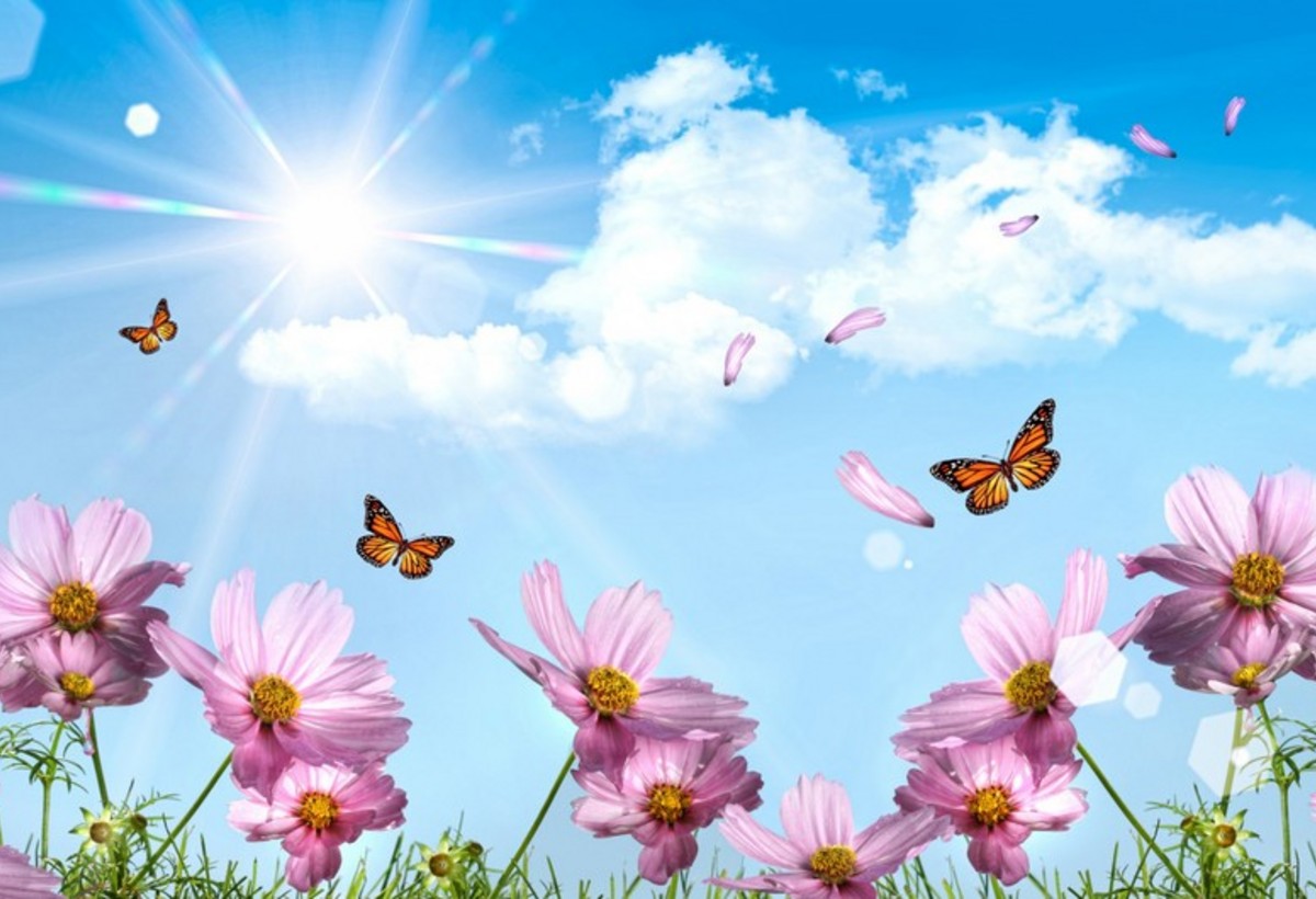 Sabah 36 dərəcə isti olacaq