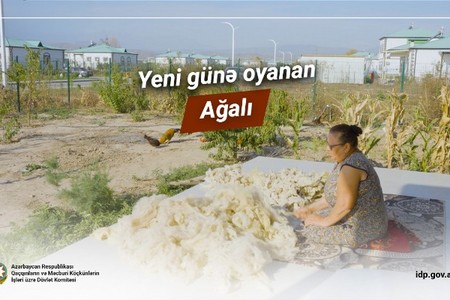 Yeni günə oyanan Ağalı - VİDEO