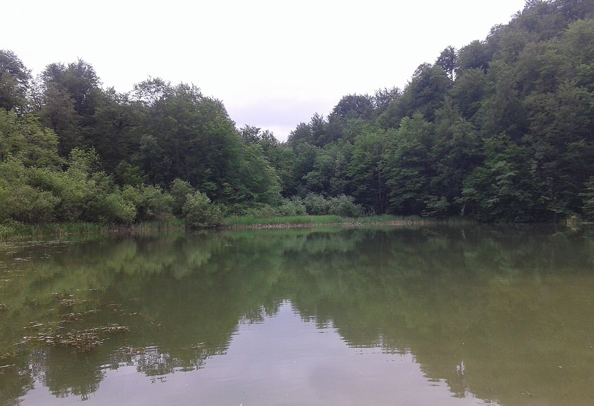 Şahbuzda qadın göldə boğulub