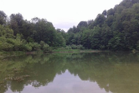 Şahbuzda qadın göldə boğulub