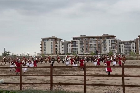 ECO-nun Zirvə görüşünün iştirakçıları üçün Qarabağ atlarının “Zəfər” şousu - VİDEO