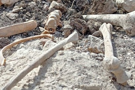 Ağdamda insan skletinin qalıqları tapıldı