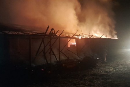 Lənkəranda ferma heyvanlarla bir yerdə yanıb - FOTO