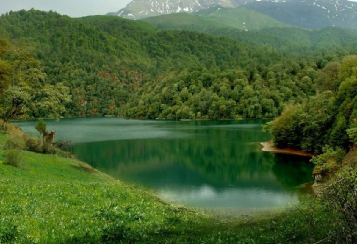 Nazirlik yeni milli parklarla bağlı məlumat yaydı