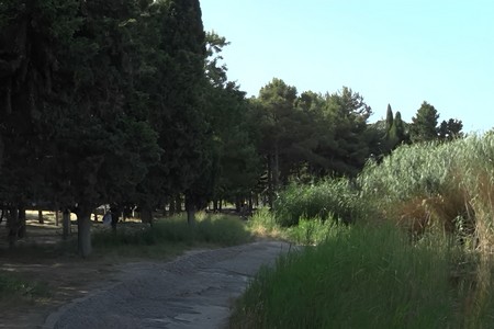 Unudulmuş park: Binəqədidəki “Nəbatat” baxımsız vəziyyətdədir