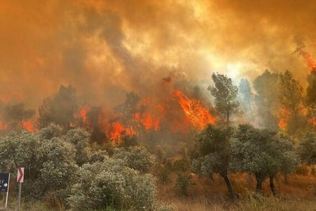 Füzulidə dağlıq ərazi yanır - helikopterlər cəlb olunub