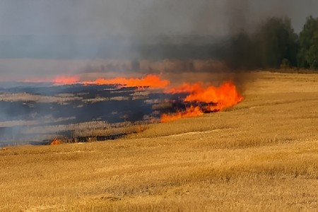 Lerikdə yanğına səbəb olan şəxslər SAXLANILDI