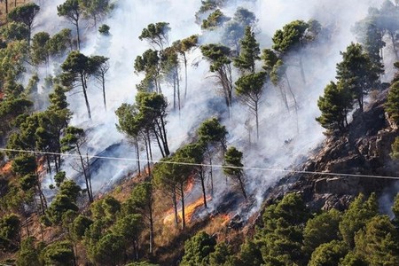 Ağdam və Füzuli rayonlarında baş vermiş yanğınlar tam söndürülüb