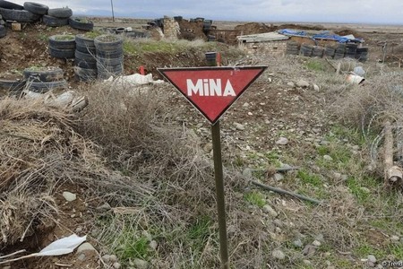 Ötən həftə 1300 hektardan çox ərazi minalardan təmizlənib