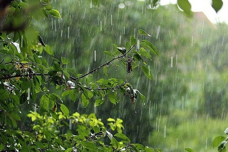 Sabah bəzi dağlıq ərazilərdə qısamüddətli leysan xarakterli yağış yağacaq
