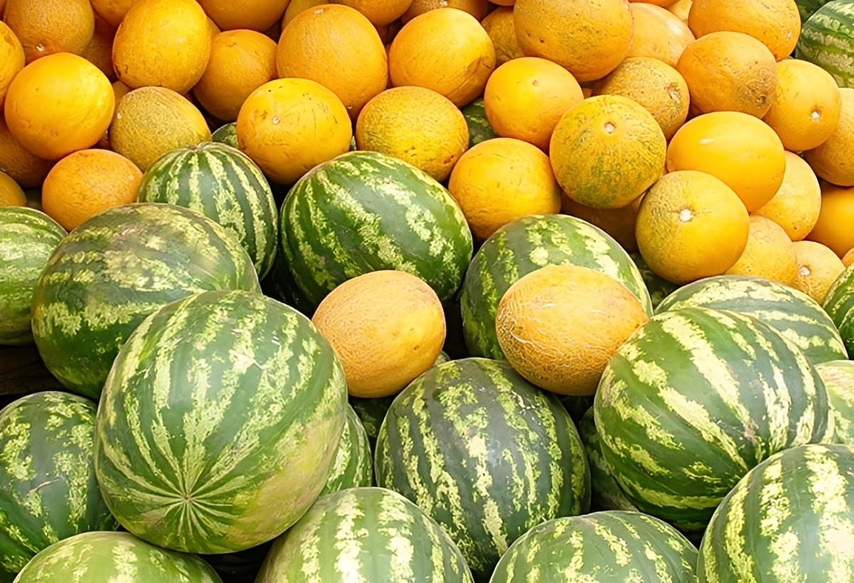 Satışda olan qarpız və yemişdəki pestisidlər yoxlanıldı