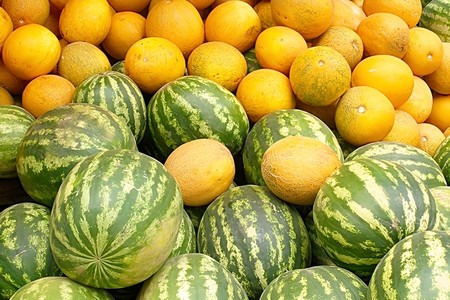 Satışda olan qarpız və yemişdəki pestisidlər yoxlanıldı