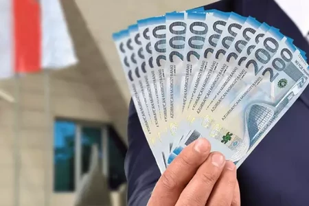 Büdcə təşkilatlarının ödənişli xidmətləri baha olduğu üçün maraq cəlb etmir - EKSPERT
