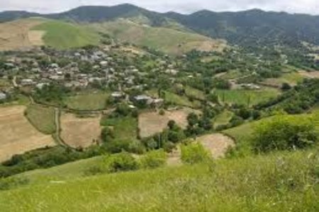 Cəlilabadda çaqqal kənd sakinlərinə hücum edib