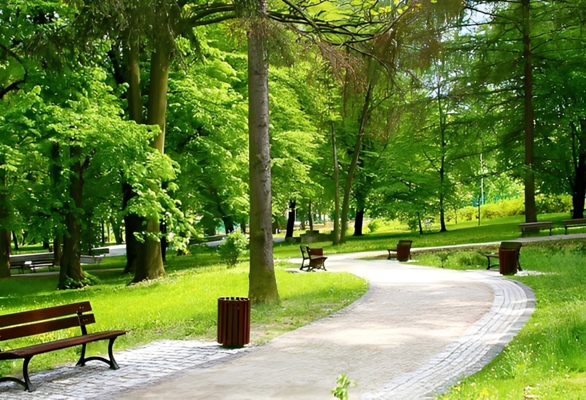 Bakıda parkda kişi ÖLDÜ