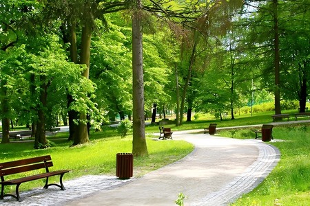 Bakıda parkda kişi ÖLDÜ
