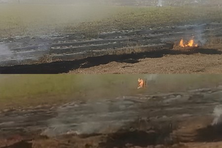 Cəlilabadda yanğın törədən şəxslər məsuliyyətə cəlb olunublar