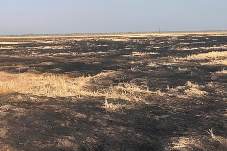 Cəlilabadda yanğın törədən şəxs məsuliyyətə cəlb edilib