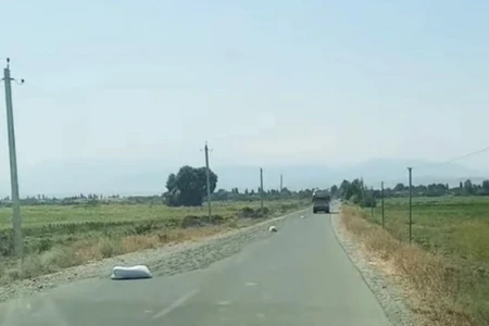 Avtomobil yoluna günabaxan tumları yığan şəxs məsuliyyətə cəlb edildi
